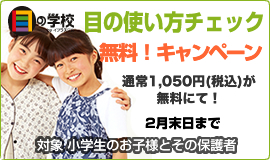 目の使い方チェック